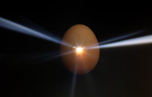 بازار تخم مرغ گیاهی تا سال ۲۰۳۵ به ۸۳۴ میلیون دلار خواهد رسید، به دنبال رونق تغذیه اخلاقی