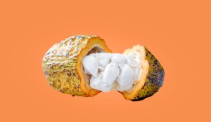 نسل نوآوری کرد: روش جدید «نستله» برای نجات شکلات از بحران