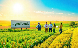 الگوی کشت، به‌زودی روی میز کشاورزان