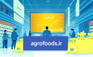 برنج خارجی فقط از بازارگاه عرضه می‌شود؛ ضرب‌الاجل ۱۵ شهریور