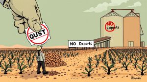 خبر خوش برای مصرف‌کنندگان  ۷۰ درصد حبوبات مورد نیاز، تولید داخل