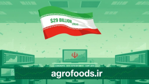 هشدار سازمان برنامه و بودجه  گرانی کالاهای اساسی با ارز دولتی، کمر مردم را شکست