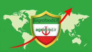 رشد چشمگیر حمایت از صادرکنندگان؛ پوشش بیمه‌ای دو برابر شد