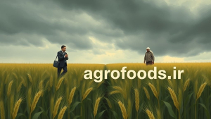 کشاورزان گندم‌هایشان را نفروختند؛ پیشنهاد دولت کافی نبود