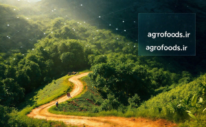 ۵ چالش بزرگ قهوه‌دوستان برای دور زدن قانون جدید اتحادیه اروپا