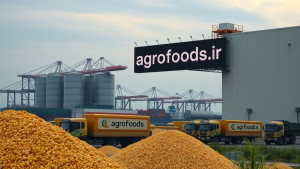 معاون وزیر جهاد  موانع ارزی، سد راه ترخیص کالاهای اساسی