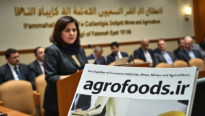 مهاجرانی  دولتی‌ها پاسخگو باشند، بخش خصوصی را دریابید