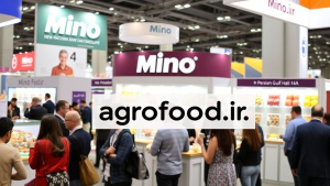 Mino  A Legacy of the Past  An Innovation for Today