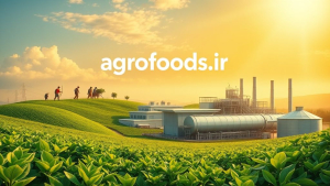 خبر خوش برای چایکاران  ۱۷۷ میلیارد تومان وام به حساب کشاورزان واریز شد