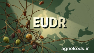 چرخش ناگهانی دیگر در قانون اتحادیه اروپا: ماجرا از چه قرار است؟