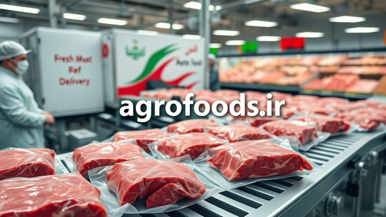 دبیر انجمن گوشت  واردات و عرضه روزانه ۲۰۰ تن گوشت تازه با ارز مبادله‌ای برای تنظیم بازار آغاز شد