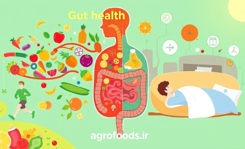 رازهای یک شکم سالم فاش شد؛ این ۴ ستون، دنیای غذا و نوشیدنی را زیر و رو می‌کند