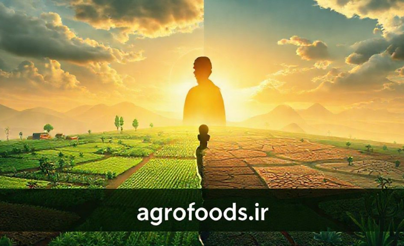 تأکید معاون اول رئیس‌جمهور  اقتدار غذایی، پیش‌نیاز اقتدار ملی