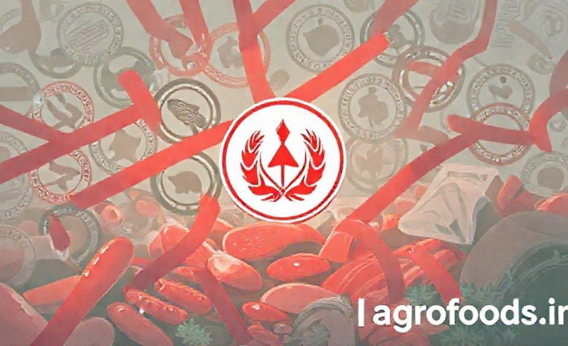 دبیر انجمن صنایع گوشتی  نظارت بر فرآورده‌ها در سازمان غذا و دارو متمرکز گردد