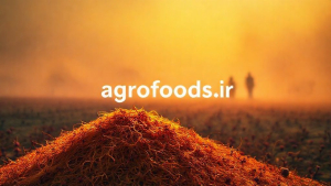 عضو شورای ملی زعفران  ماهانه ۱۰ تن زعفران قاچاق می‌شود