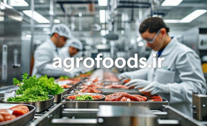 رازگشایی از گوشت گیاهی «سالم و طبیعی»: چگونه این ترکیب جادویی را به دست آوریم؟