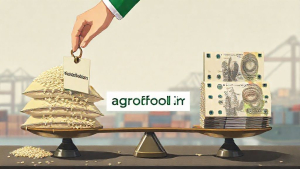 دبیر انجمن واردکنندگان برنج  حذف قیمت‌گذاری دستوری و سهمیه‌بندی، کلید تعادل بازار است