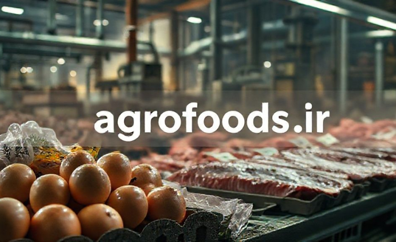 سخنگوی اتاق اصناف  گوشت گوساله ۵۴ و تخم مرغ ۱۱ درصد در سه ماه اخیر گران شدند