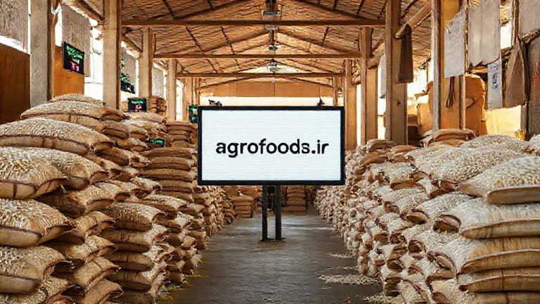 قیمت برنج هندی افت کرد؛ برنج ایرانی در آستانه کاهش