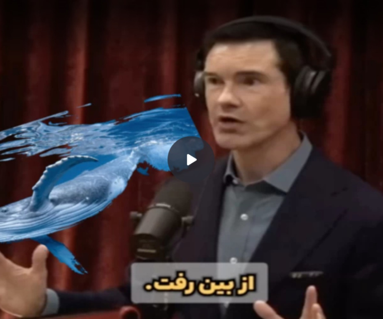 حدس بزنید: بزرگترین صنعت جهان در سال ۱۹۰۳ میلادی که در عرض ۱۸ ماه از روی زمین محو شد، چه بود؟